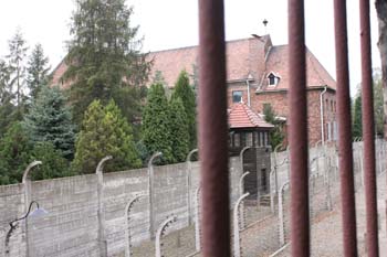 Auschwitz-11
