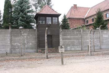 Auschwitz-12