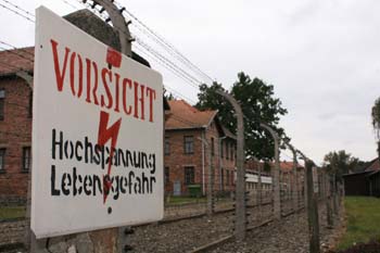 Auschwitz-19