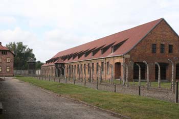 Auschwitz-5