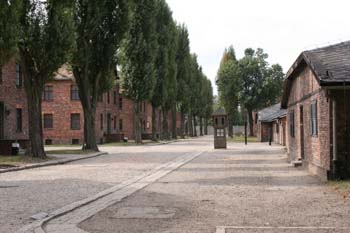 Auschwitz-6