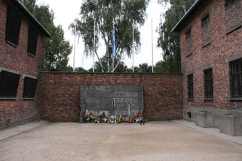 Auschwitz-8