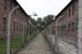 Auschwitz-14