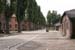 Auschwitz-6