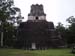 Tikal-5