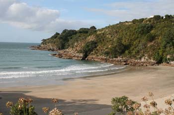 Waiheke-1